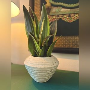 Faux potted snake plant